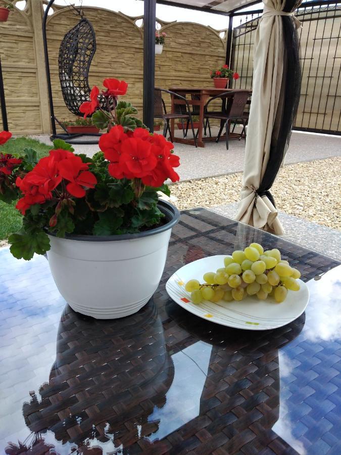 Casa Eugenia Otel Vama Veche Dış mekan fotoğraf